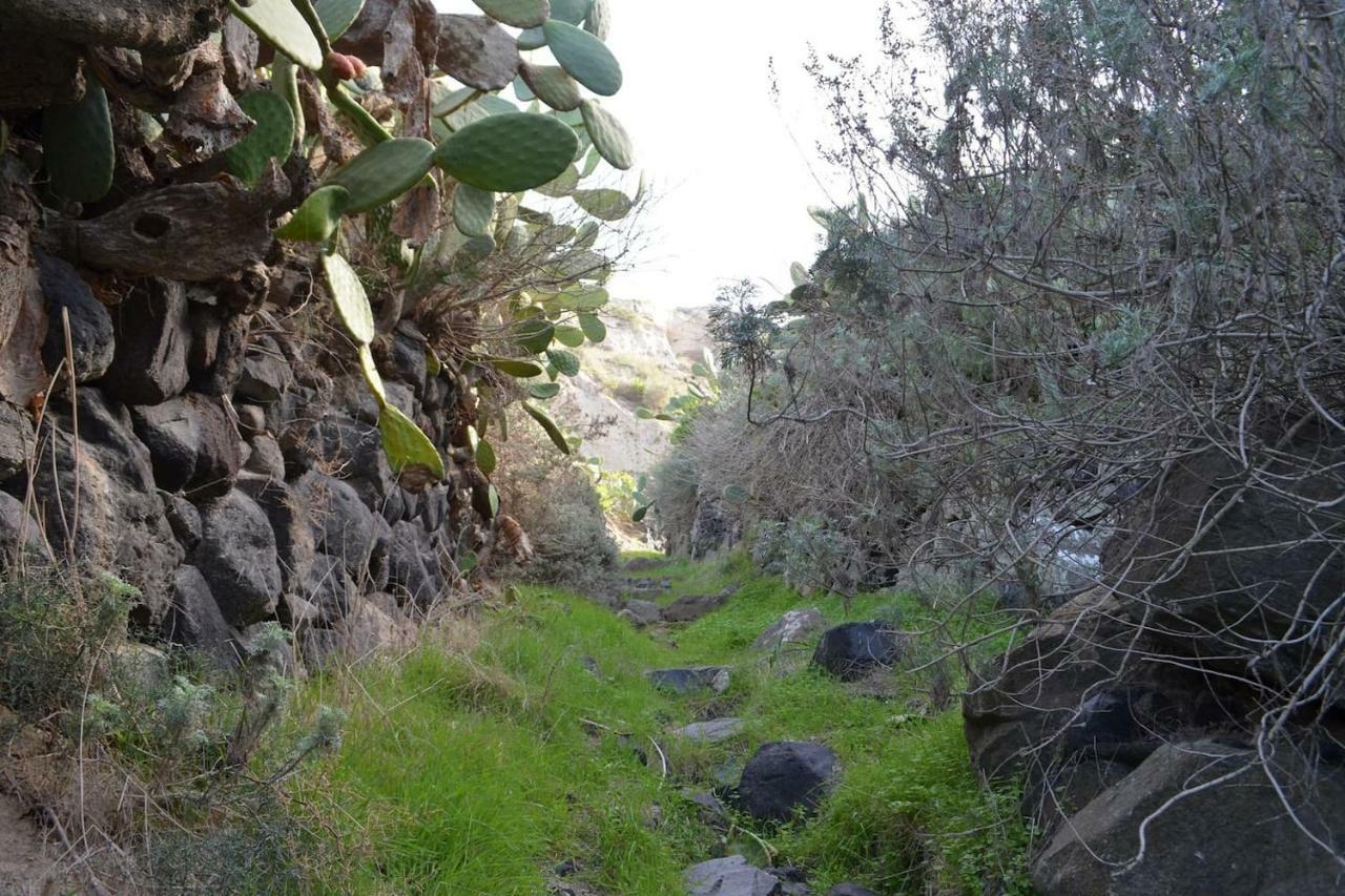 Agrilia Secluded Cave House Villa Thirasía Dış mekan fotoğraf